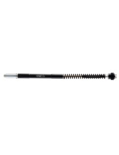 kit de horquilla matrix f25r bmw r ninet 1200 f25b320r