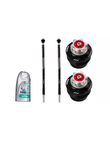 kit de horquilla matris f25r f25h108r para harley davidson x350 2024