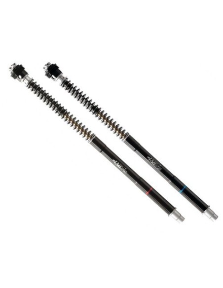 kit de horquilla matrix f25sa yamaha yzf r6 f25y110sa