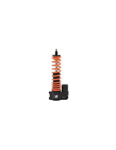 amortiguador trasero matris vespa primavera 125 mp100 v1fn