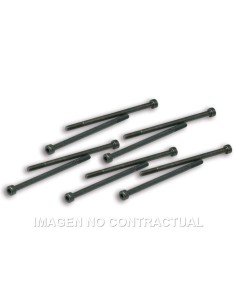 tornillos fijacion pinzas variador malossi competi 191228j0