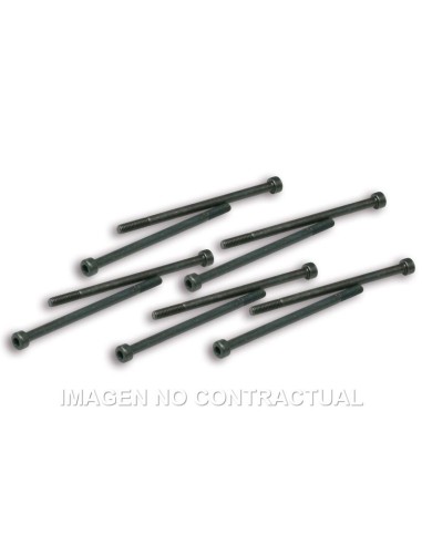 tornillos fijacion pinzas variador malossi competi 191228j0