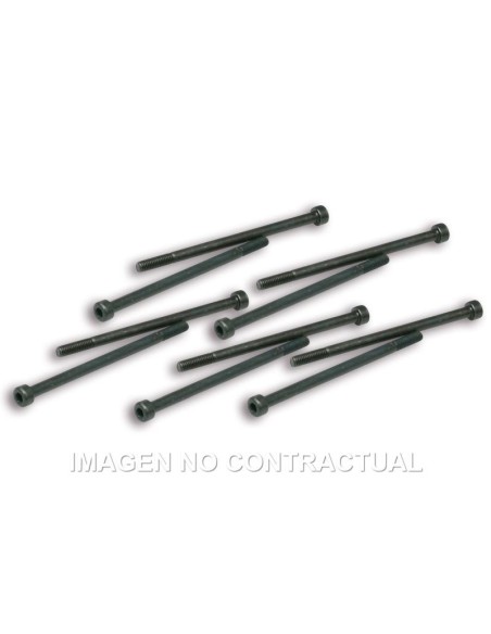 tornillos fijacion pinzas variador malossi competi 191228j0