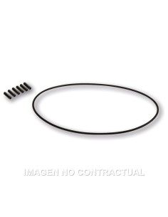 tornilleria encendido malossi vespower 5517175 1917368