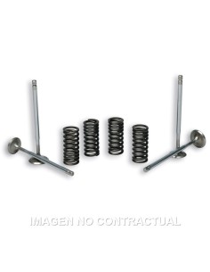 valvulas malossi c muelles motor piaggio leader 2714047