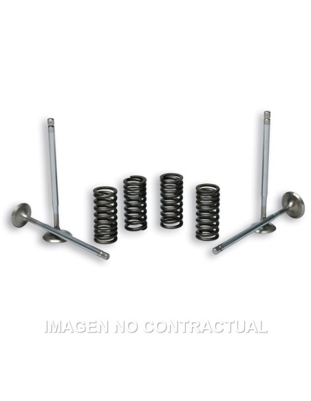 valvulas malossi c muelles motor piaggio leader 2714047