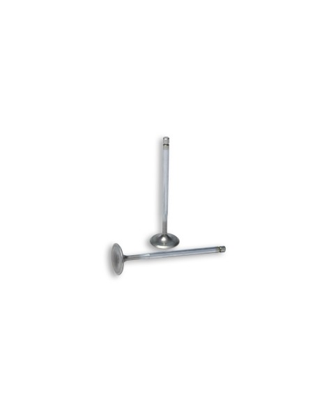valvulas aspiracion culata malossi 2714390