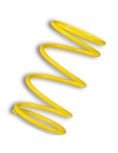 muelle polea conducida amarillo motor leadrch 2916459y0