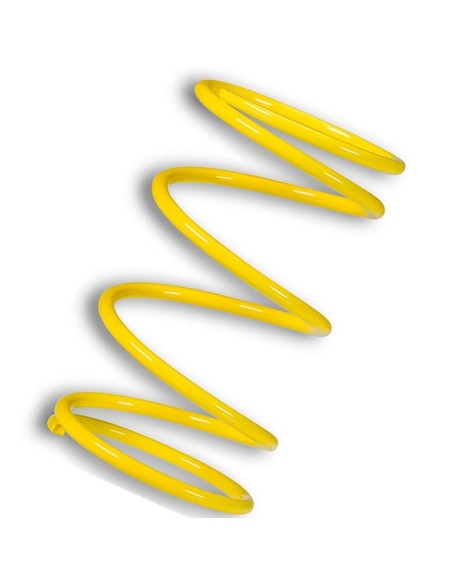 muelle polea conducida amarillo motor leadrch 2916459y0