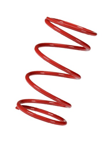 muelle polea conducida rojo honda sh 300 2916497r0