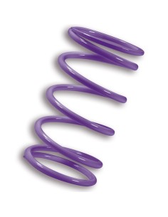muelle polea conducida malossi violeta kymco ak550 2917874v0
