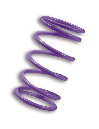 muelle polea conducida malossi violeta kymco ak550 2917874v0