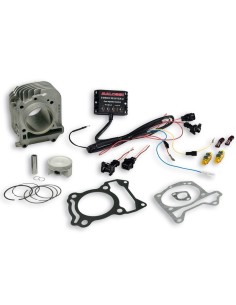 cilindro completo malossi i tech piaggio liberty i 3117439