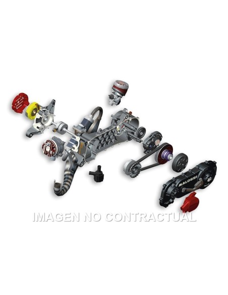 motor malossi completo c one piaggio zip 4917553