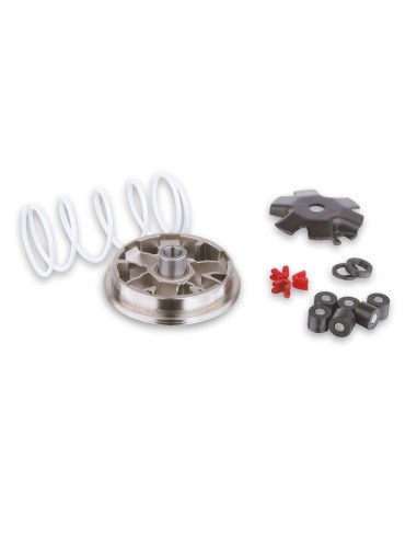 variador multivar quad dinli 50 5112206