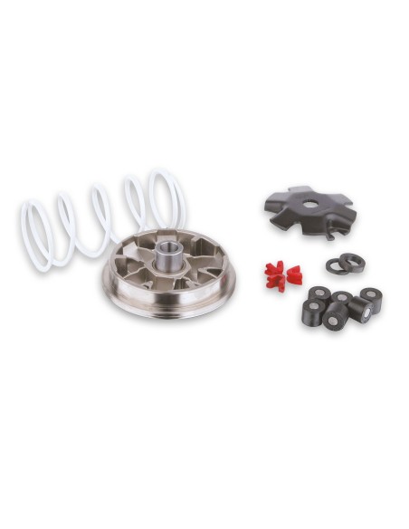 variador multivar quad dinli 50 5112206