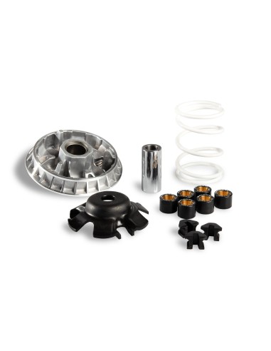 variador multivar sym joymax 250 citycom 300 5113597