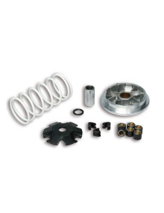 variador multivar sym symphony 50 5114206