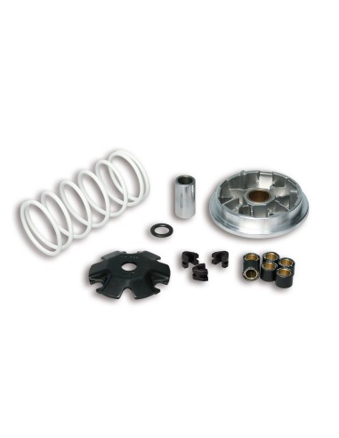 variador multivar sym symphony 50 5114206