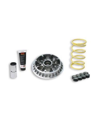variador multivar suzuki burgman 400 k7 5114263