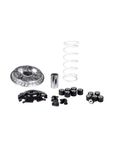 variador multivar malossi honda sh 125 euro 5 5118776