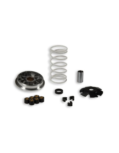 variador multivar piaggio freetyphoon nrg storm 517382