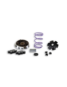variador malossi multivar mhr piaggio 50 518648