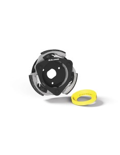 embrague malossi maxi delta clutch honda forza 125 5217040