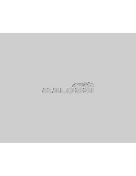 cigenal malossi mhr team motor minarelli 5317827