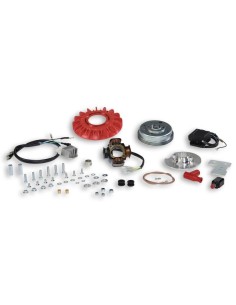 encendido vespower vespa primavera 125 5516958