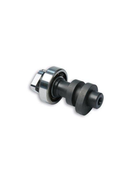 arbol de levas malossi power cam honda sh 300 5914657