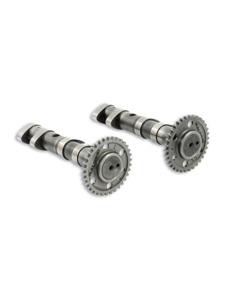 arbol de levas malossi power cam double yamaha t m 5915981