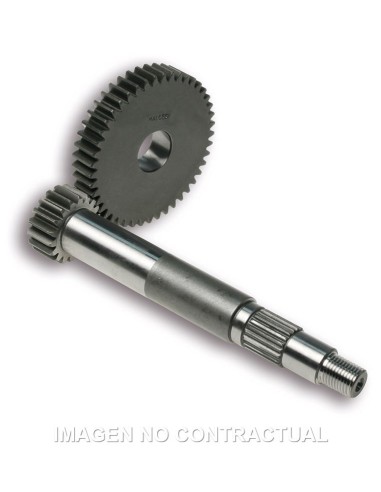 desarrollo primario malossi piaggio typhoon 125 6711492