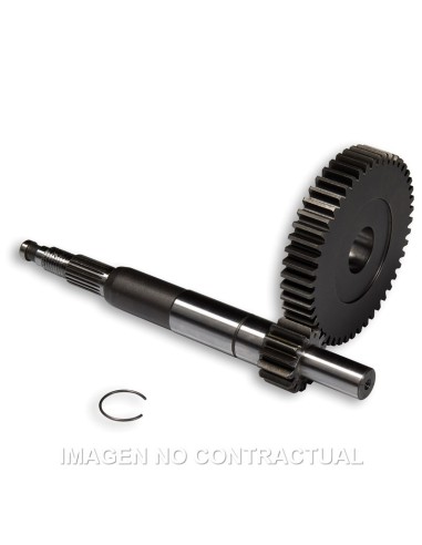 desarrollo primario largo gilera dna 6711602