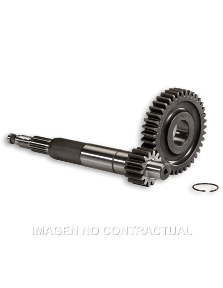 desarrollo primario largo gilera runner 679080