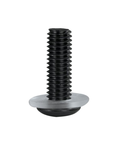 kit tornillos anodizados oxford screen screw 8 piezas llave 4 mm