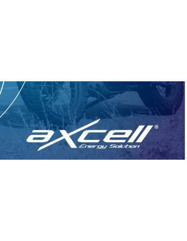cargador de baterias de moto inteligente axcell 200289