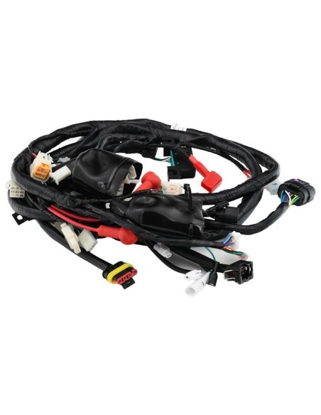 cableado principal zairon zs1