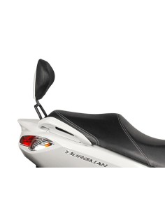 fijacion respaldo shad para moto suzuki burgman 125 s0br17rv 2