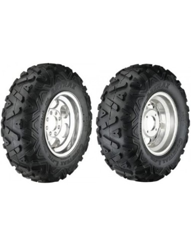 ARTRAX 25X10 -12 50N AT1306  6PR TL