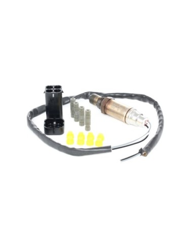 LS05 Sensor de oxigeno