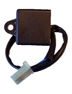 Centralita Electrónica Control de Arranque - 2 Cab