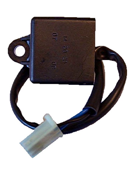 Centralita Electrónica Control de Arranque - 2 Cab