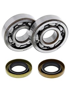 Kit de rodamientos cigeñal All Balls 241102