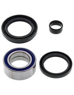 Kit de rodamientos rueda All Balls 251003
