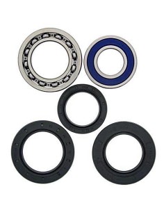 Kit de rodamientos rueda All Balls 251017