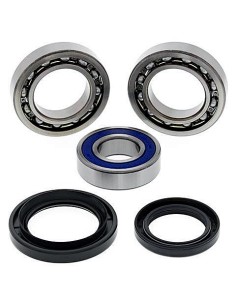 Kit de rodamientos rueda All Balls 251018
