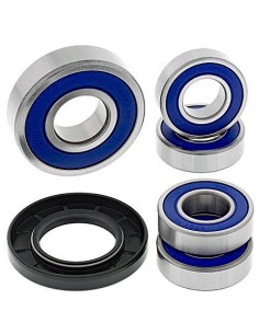 Kit de rodamientos rueda All Balls 251097