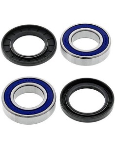 Kit de rodamientos rueda All Balls 251109