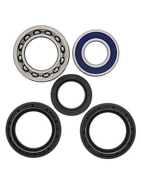 Kit de rodamientos rueda All Balls 251139